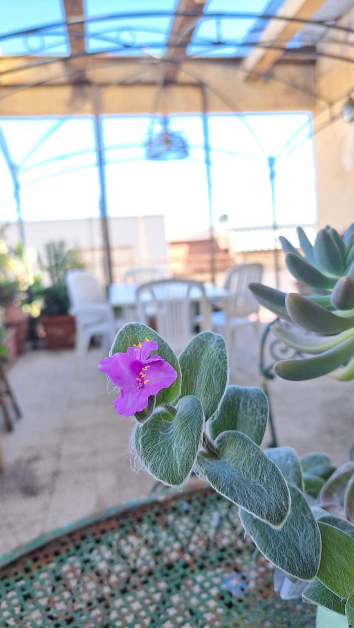Lejlighed Citta Giardino Rom