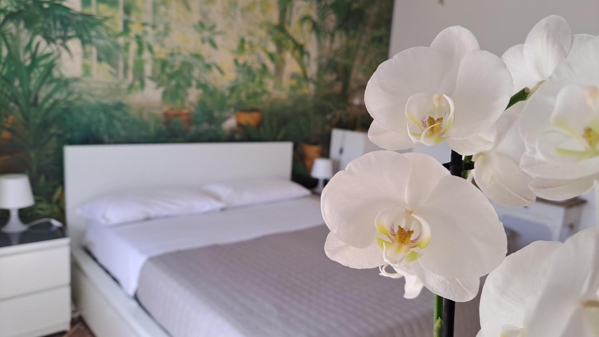 Apartment Citta Giardino Rom